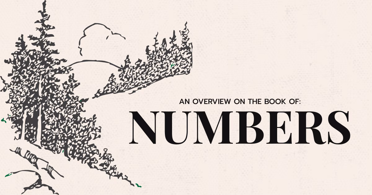 Numbers Overview